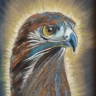 Tête d'aigle de profil, plumage brun, roux et bleu, œil jaune perçant et bec crochu, détachée sur un fond noir par un halo de traits dorés.