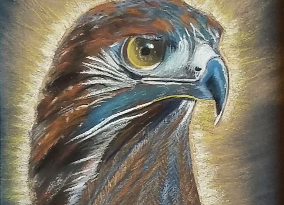 Aigle