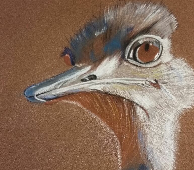 Drôle d’oiseau